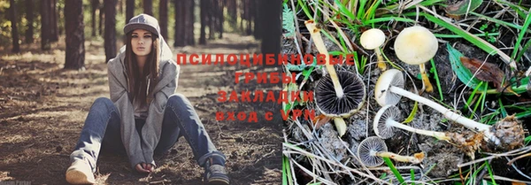 дистиллят марихуана Абаза
