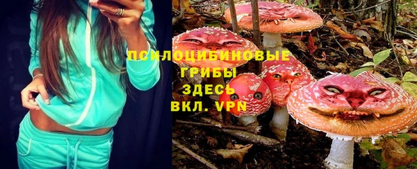 экстази Алексин