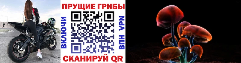 Галлюциногенные грибы мицелий  купить  сайты  Октябрьский 